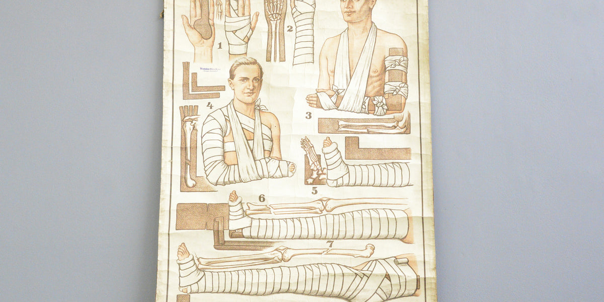 German Red Cross Educational Chart Circa 1920s – Otto's Antiques
