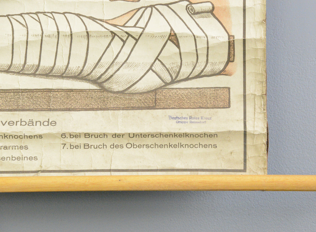 German Red Cross Educational Chart Circa 1920s – Otto's Antiques