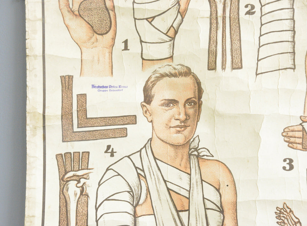 German Red Cross Educational Chart Circa 1920s – Otto's Antiques