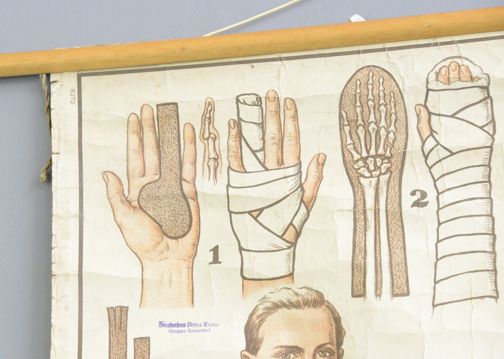 German Red Cross Educational Chart Circa 1920s – Otto's Antiques