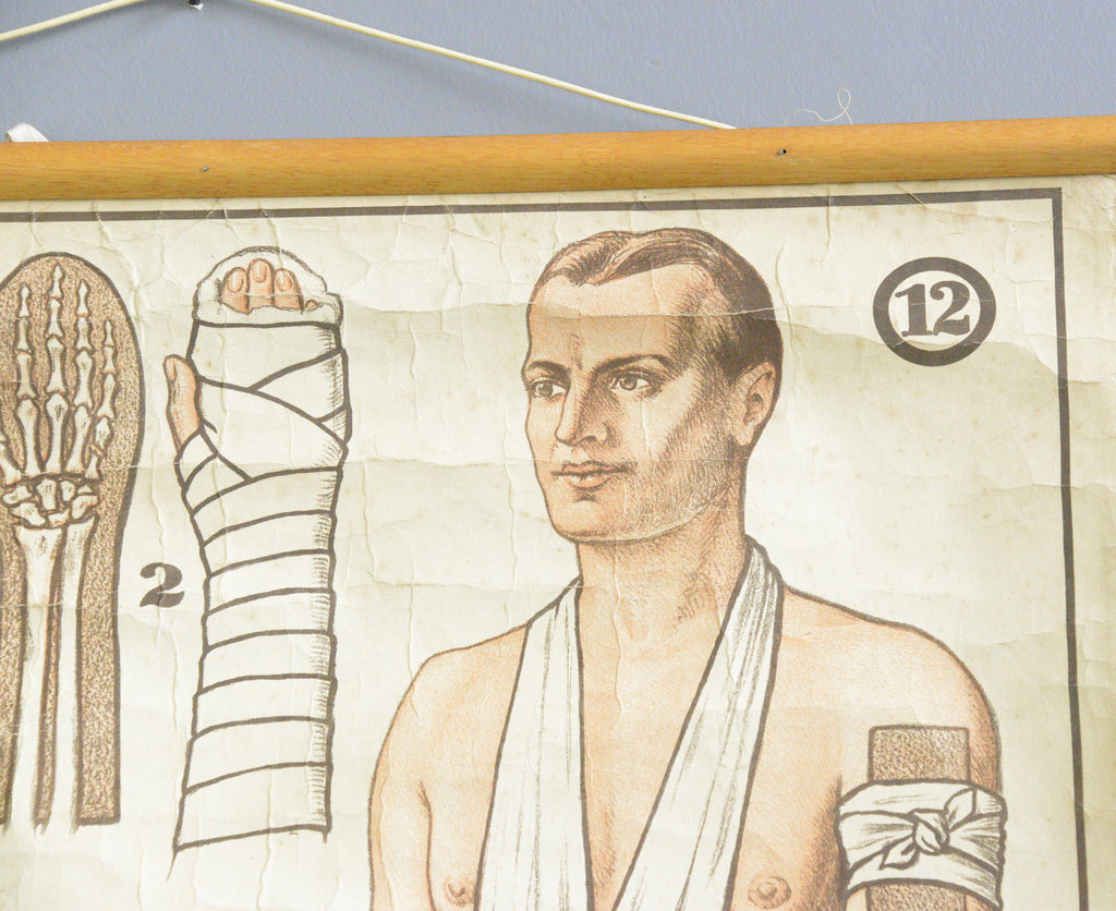German Red Cross Educational Chart Circa 1920s – Otto's Antiques