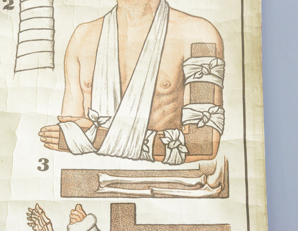 German Red Cross Educational Chart Circa 1920s – Otto's Antiques