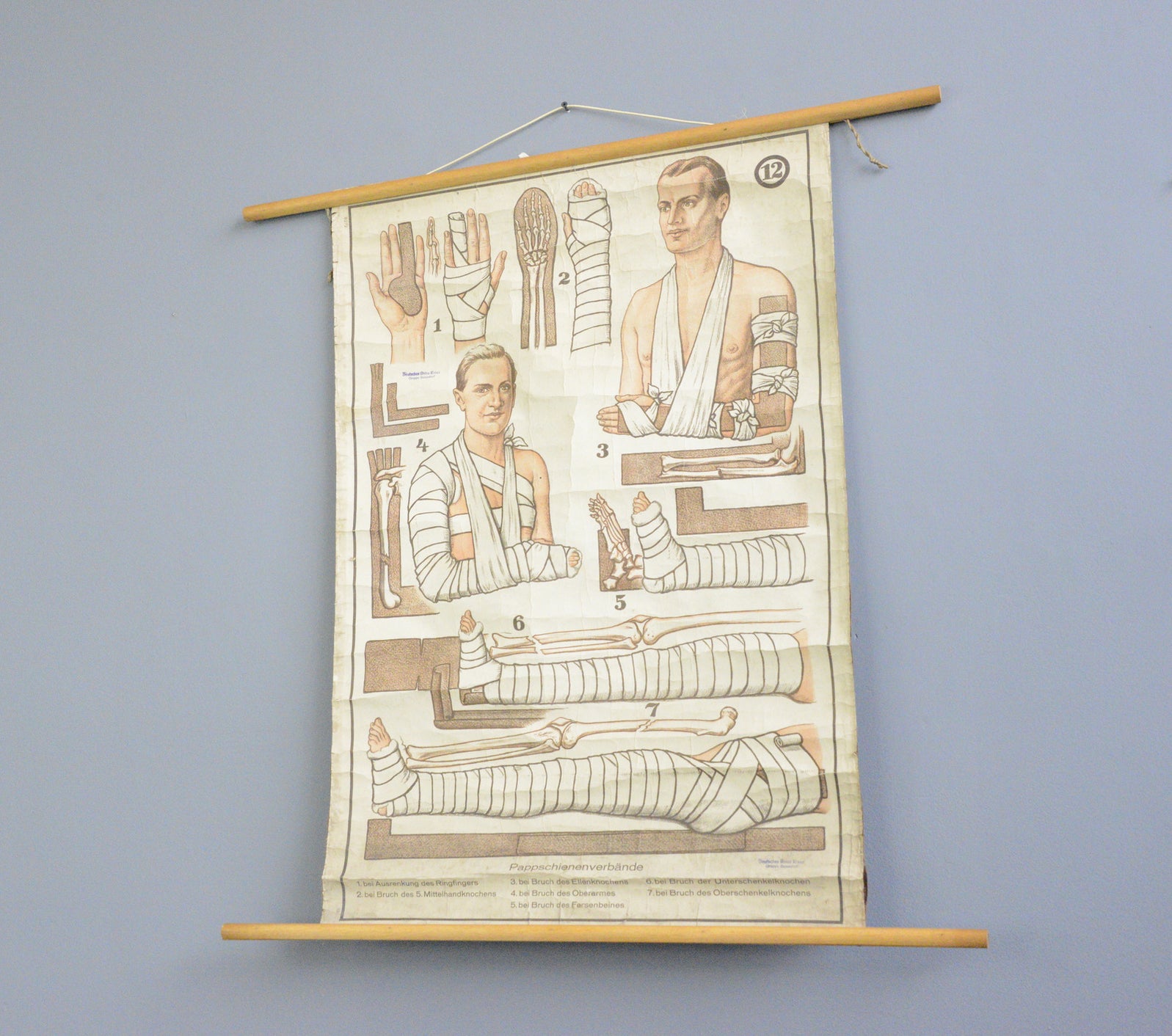 German Red Cross Educational Chart Circa 1920s – Otto's Antiques